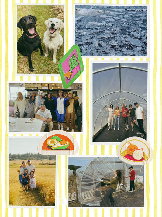 Our Harvest Wrap-Up Newsletter!