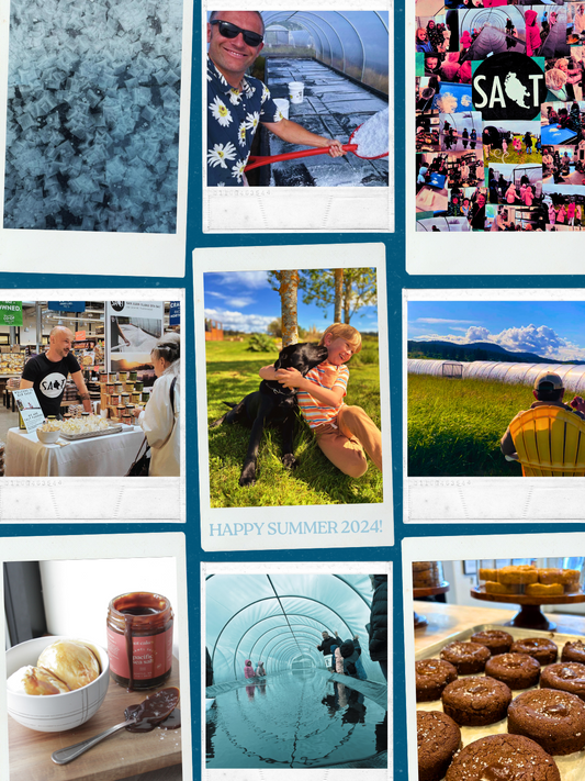 Our Summer 2024 Newsletter!