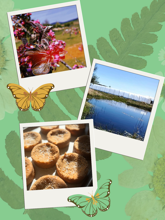 Our Spring 2025 Newsletter!