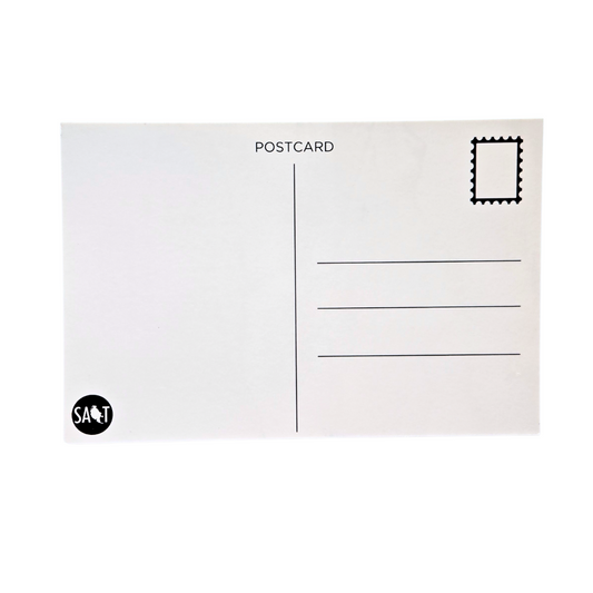 Cattle Point Postcard