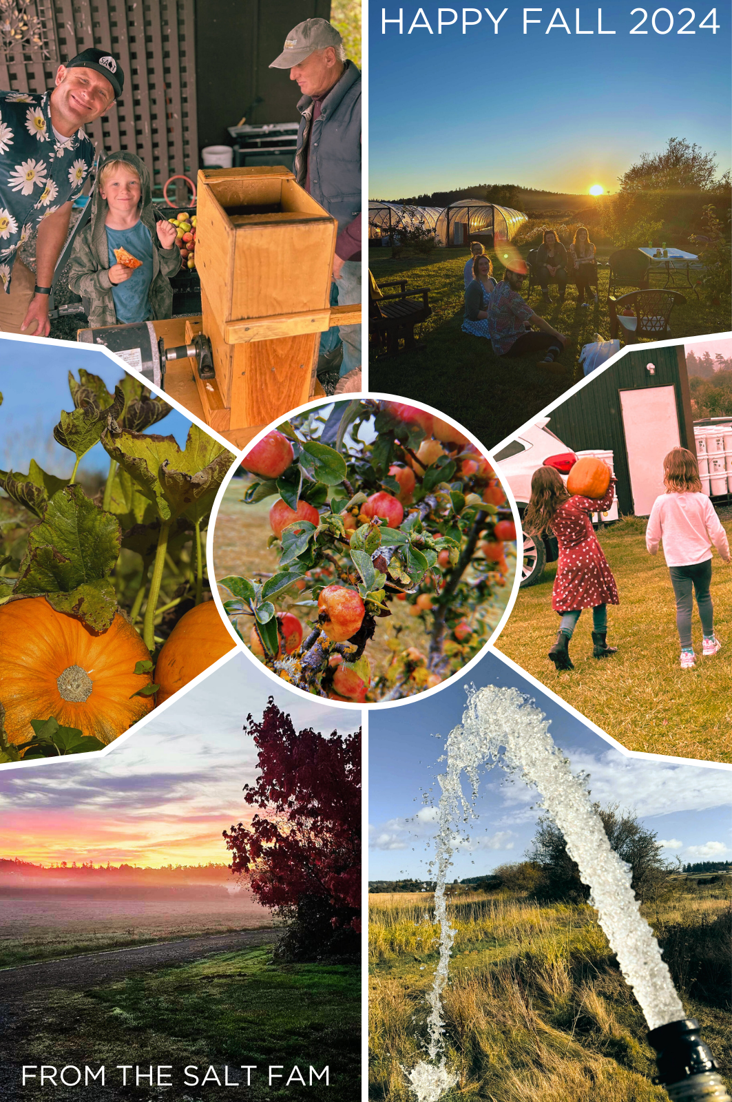 Our Fall 2024 Newsletter! – San Juan Island Sea Salt